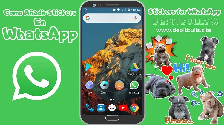 COMO AÑADIR STICKERS EN WHATSAPP DEPITBULLS PERSONALIZADOS TUTORIAL COMPLETO COMO PONER stickers for whatsapp DEPITBULLS