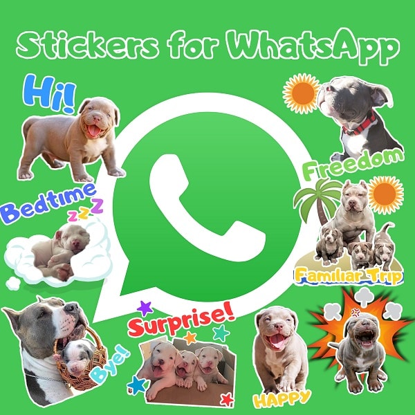 COMO AÑADIR STICKERS EN WHATSAPP DEPITBULLS PERSONALIZADOStickers for WhatsApp los mejoresLos PitBulls son una raza de perros muy expresiva y con ellos puedes dar a demostrar tu estado de animo en cualquier momento, con estos graciosos Stickers…