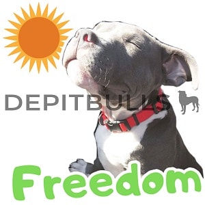 Pack of Stickers for WhatsApp DEPITBULLS Stickers de perros cachorros Pitbulls Picbull pitbull blue nose freedom